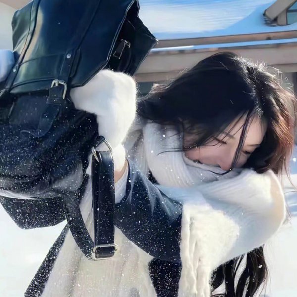 重鸟